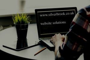 Silver Websites