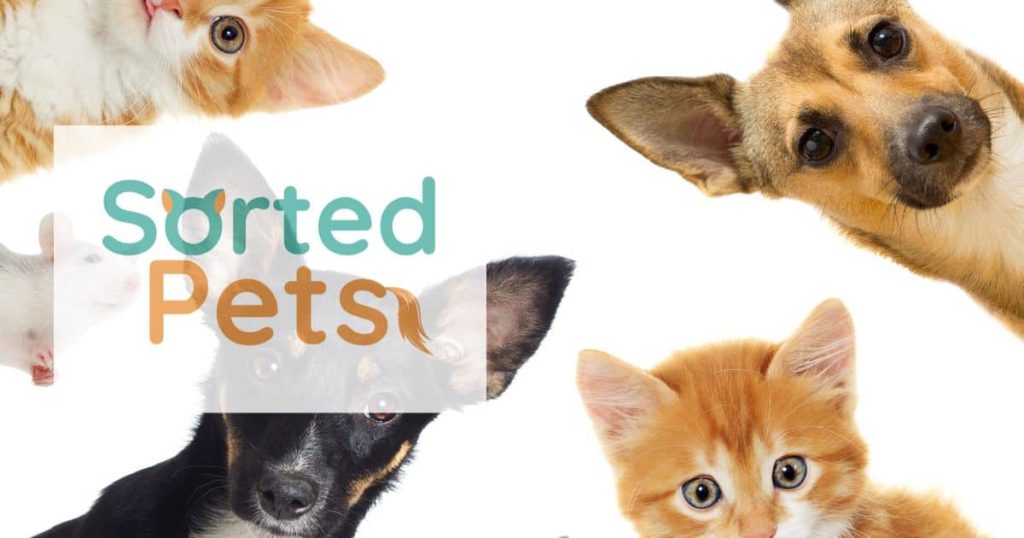 Find-local-pet-services