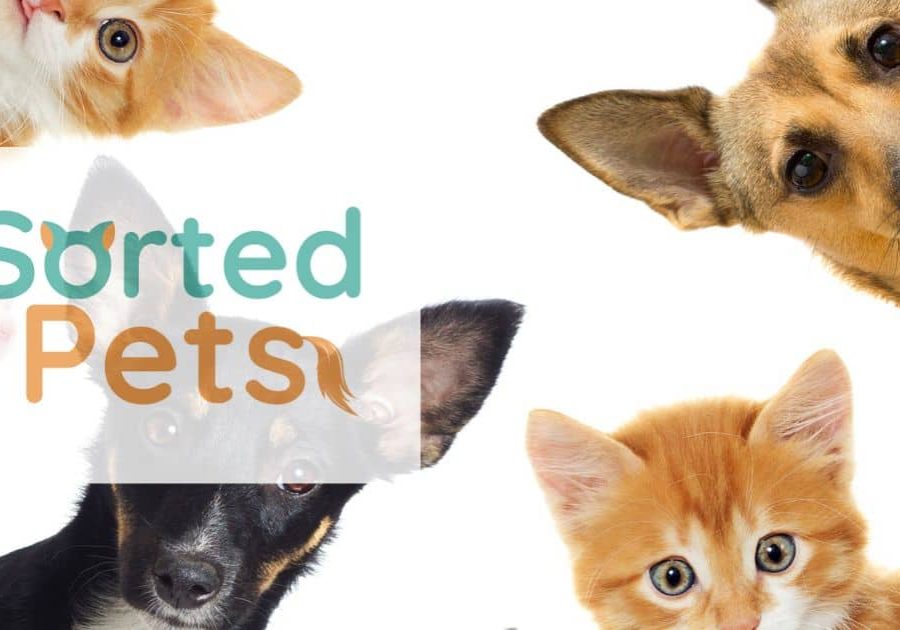 Find-local-pet-services