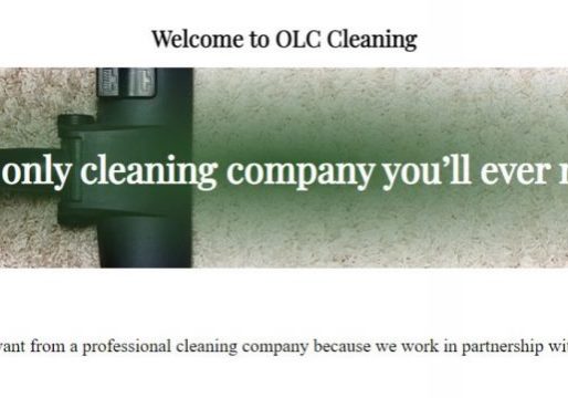 Cleaning company web design