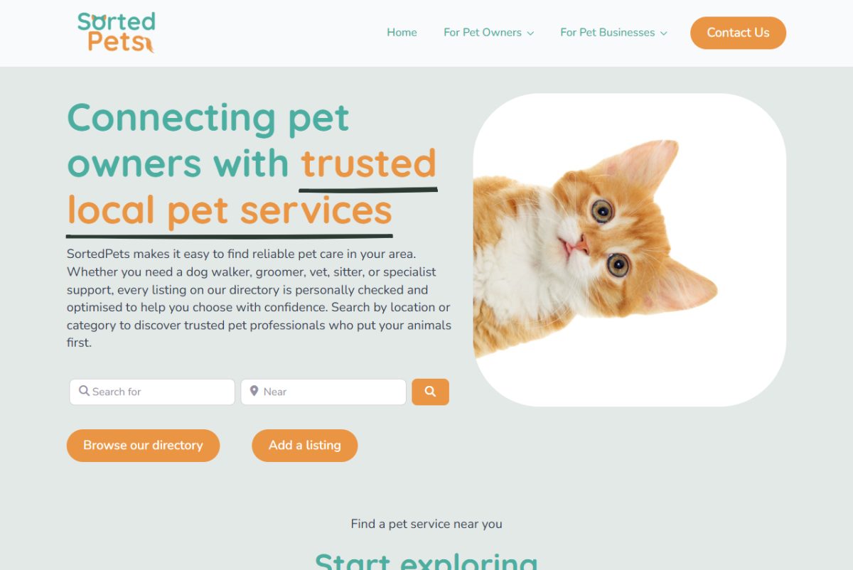 Pet Business web design